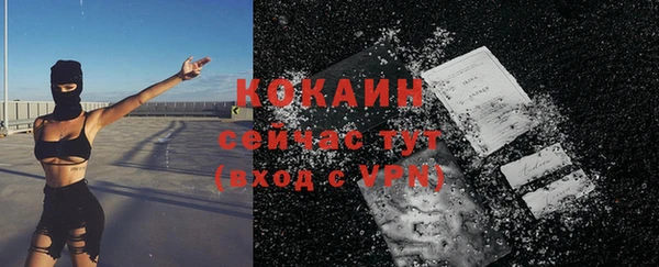 ALPHA PVP Бородино