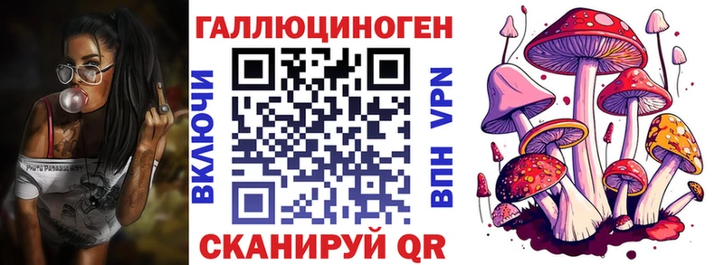 Галлюциногенные грибы Psilocybine cubensis  Геленджик 